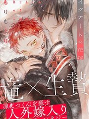 专题图鉴：连载漫画编号体系档案的封面，手写编号与索引卡